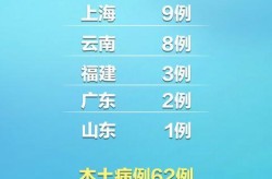 31省区市新增本土确诊93例（31个省今天新增多少例）