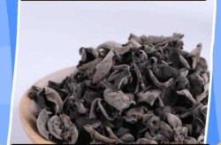 大妈吃浸泡2天木耳次日住进ICU（木耳泡了三天是不是吃了会中毒）