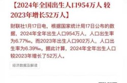 2024年新生人口将超出想象（24年新生儿出生人口数量）
