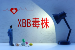 XBB.1.5成美国头号流行毒株（xbb1.5毒株）