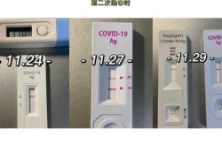 奥密克戎潜伏期多久能检测出阳性（奥密克戎潜伏期一般几天）