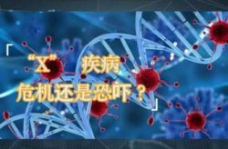 2024年x病毒开始传播了吗（x病毒是什么病毒2024年）