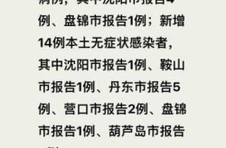沈阳新增本土确诊1例（辽宁新增本土确诊详情）