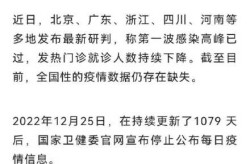 疫情高峰期 为何农村更需要关注（疫情高峰期是什么时候）