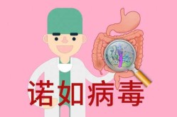 北京一聚集性疫情致9人感染（诺如病毒聚集性疫情标准）