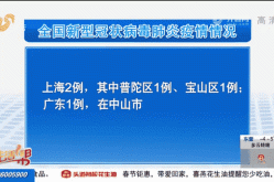 全国新增143例确诊病例（全国病例查询系统）