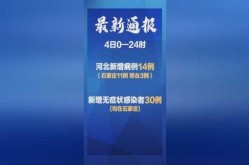 河北一村升为高风险（河北疫情中高风险地区最新有哪些）