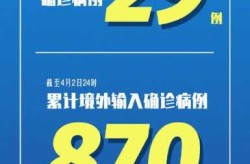 31省区市新增3例境外输入（31个省今天新增多少例）