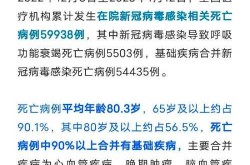 上海疫情最新数据2023年（2024年上海疫情严重吗）