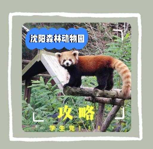 十一出境回沈阳需隔离14天(需隔离检疫的出境动物)