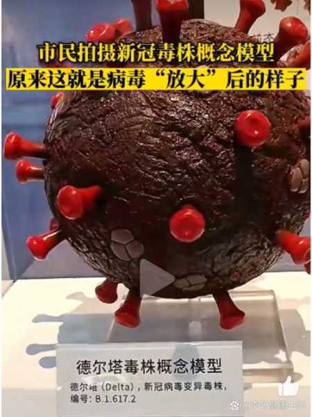新型冠状病毒变异叫什么名字（新冠变异的病毒叫什么名字）